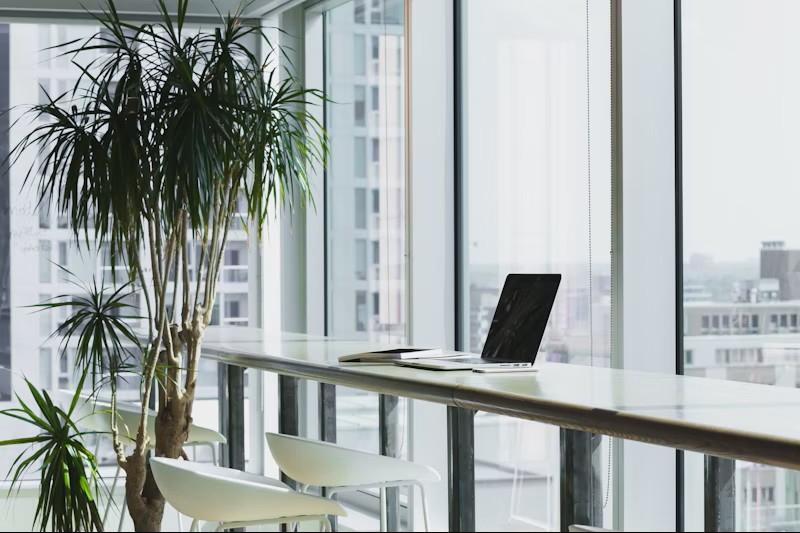 Enterprise SaaS and B2B